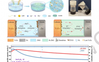 Angew：在 Zn//V2O5 系统中同时实现密集锌沉积和破坏副反应循环