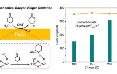 JACS：水分子氧原子转移Baeyer-Villiger氧化