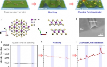 Nature Commun：机械化学产生褶皱2D MnPS3实现超高灵敏度分子传感