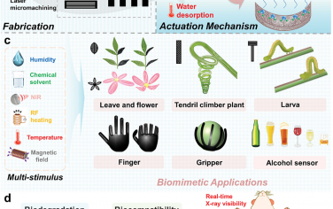 AFM：用于仿生和生物医学应用的具有可编程形状变形设计的多刺激响应微型软致动器