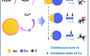 南洋理工大学&中科院固体物理所Chem：调控Au-Cu的Janus结构控制CO2电催化产物选择性