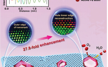 Adv Mater：二维纳米网格Pd孔边缘结构重构显著增强ORR性能