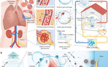 Adv. Mater：仿人体循环/呼吸的综合空气净化系统