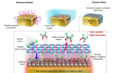 Nat Commun：金属纳米晶体上的超薄共价有机覆盖层用于高选择性等离激元光催化