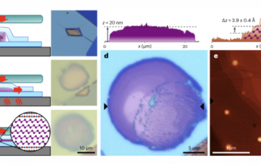 Nature Materials：薄铋晶体中的电子输运和量子振荡