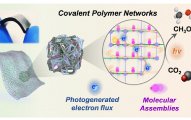 浙江大学JACS：共价聚合物限域的分子组装体光电催化还原CO2制备甲醇