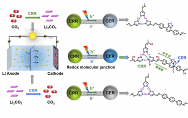兰亚乾Angew：氧化还原金属-COF复合材料光促进CO2吸附与转化的Li-CO2电池