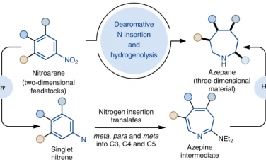 Nature Chem：硝基芳烃光催化去芳化扩环合成氮杂环庚烷