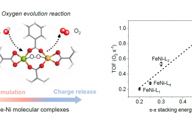 Angew：羧酸配体调节FeNi位点电子结构构筑优异OER催化剂