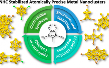 JACS综述：NHC稳定金属纳米簇