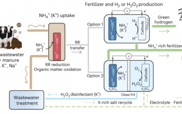 Nature Sustainability：电化学氨回收及肥料废水中化学物质的联合生产