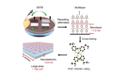 ACS Nano：堆叠高应变聚合物单层用于晶圆级和可转移纳米电介质