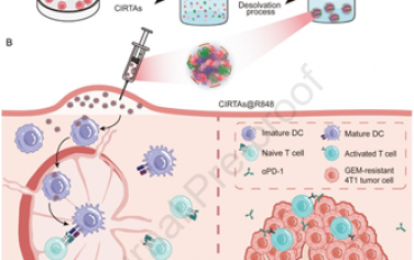 Biomaterials：无载体纳米疫苗可联合癌症免疫疗法克服吉西他滨耐药