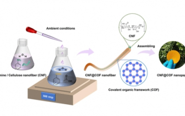 JACS：亚胺连接的共价有机框架（COF）的常温水合成和独立式纤维素纳米纤维@COF纳米纸的制造