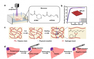 Nat Commun：3D 打印自愈个性化肝脏模型，用于手术训练和术前规划