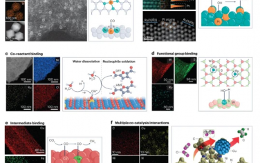 Nature Reviews Materials：单原子电催化剂中的共催化金属-载体相互作用