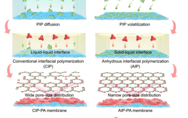 Nat Commun：亚 1 Å 筛分聚酰胺膜的无水界面聚合