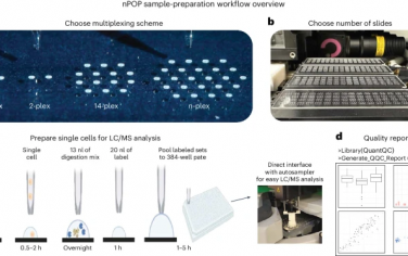 Nature Protocols：使用nPOP进行多路复用单细胞蛋白质组学的大规模并行样品制备