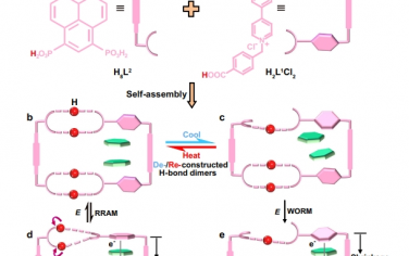 Nat Commun：具有不同电阻开关行为的氢键多链非共价有机骨架中的多态结构