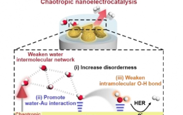 Angew：离液纳米电催化：在催化点化学破坏水分子间网络以促进绿色氢电合成