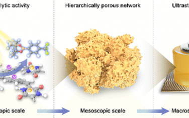 JACS：有机气凝胶光催化剂