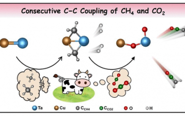 郑州大学&中科院化学所JACS：CuTa双原子催化CH4和CO2偶联反应机理