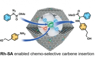 JACS：多相铑单原子位催化剂实现化学选择性卡宾 N−H 键插入