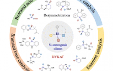 Chem. Soc. Rev.：硅立体中心的有机催化对映选择性构建