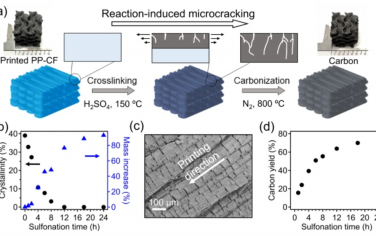 Nat. Commun.：使用塑料前体精确添加制造轻质和弹性碳