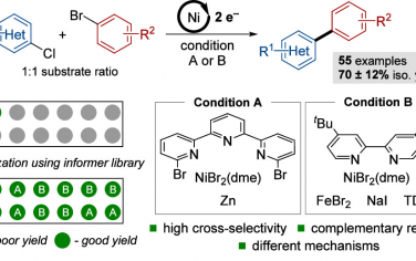 JACS：Ni催化杂芳基氯和芳基溴选择性亲电交叉偶联