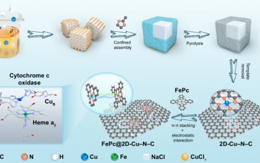 Nature Commun：空间临近Fe-Cu双原子拟酶催化活化O2
