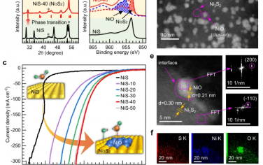Nature Commun：动态重构NiS电催化HER