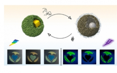 ACS Nano：设计卵黄壳纳米结构以实现荧光和结构颜色的可逆水蒸气响应双模式切换