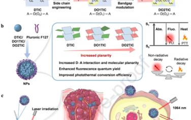 Biomaterials：合理调控分子平面度可提高摩尔吸收率、NIR-II亮度和光热效果以实现肿瘤光学诊疗