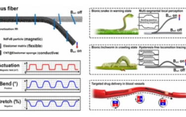 ACS Nano：用于仿生软体机器人的可控多级本体感受 Janus 纤维