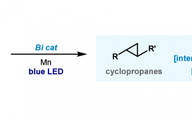 JACS：Bi光催化还原合成环丙烷