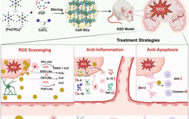 Adv. Mater：六氰合铁酸钙(III)纳米催化剂可恢复氧化还原稳态以治疗自闭症谱系障碍