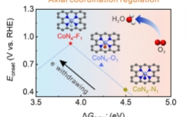 ACS Nano：轴向改进的方形棱锥形CoN4−F1位点实现高性能锌−空气电池