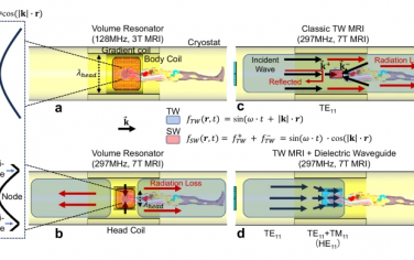 Nature Communications：用于高效行波磁共振成像的亚波长介质波导
