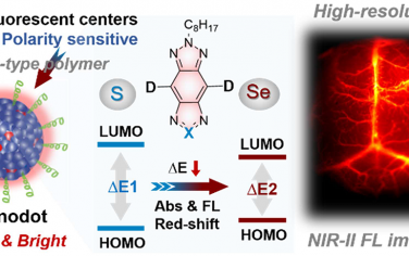 Nano Lett：分子工程化NIR-I/NIR-II纳米荧光团用于高分辨率生物成像和体内肿瘤检测