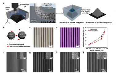 Nat Commun：通过化学连接诱导纳米晶体凝固进行无机多孔材料的 3D 微打印