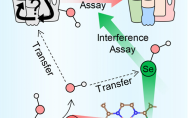 JACS：Fe-Se双原子催化剂的羟基溢流快速分析塑料的类型