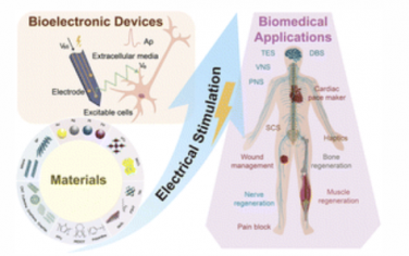 Chem. Soc. Rev.：用于电刺激的生物电子学：材料、设备和生物医学应用