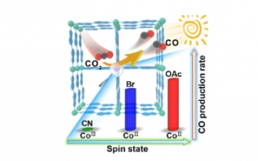 JACS：操纵金属有机框架中钴位点的自旋态以促进二氧化碳光还原