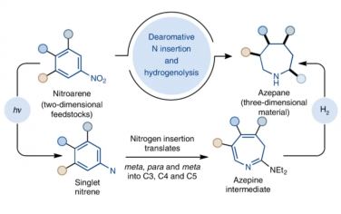 Nature Chemistry：硝基芳烃脱芳扩环合成多取代氮杂环己烷