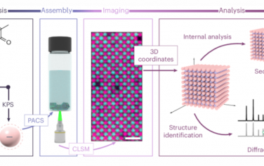 Nature Materials：实现离子胶体结晶的三维空间分析