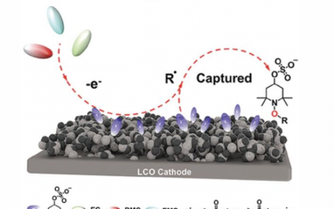 AEM：用于稳定高压Li||LiCoO2电池的自由基清除锂盐