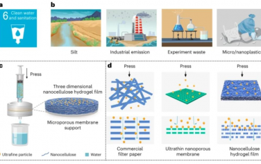 Nature Sustainability：用于可持续净水的生物基纳米纤维水凝胶过滤器