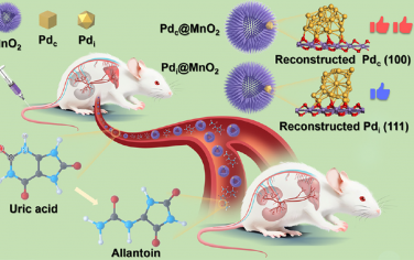 Nano Lett：尿酸酶模拟物中的晶面控制金属-载体相互作用可实现对高尿酸血症的有效治疗