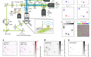 Nature Photonics：单蛋白质光学全息术